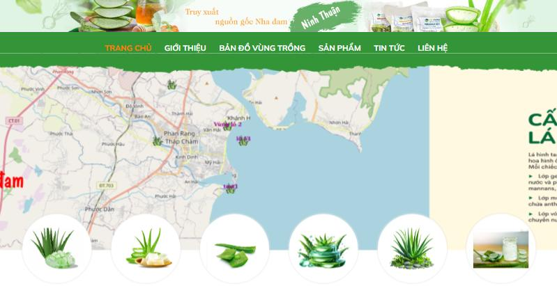 Hệ thống truy xuất nguồn gốc nha đam Ninh Thuận