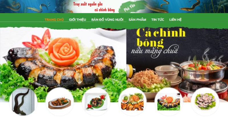 Hệ thống truy xuất nguồn gốc cá chình bông Phú Yên